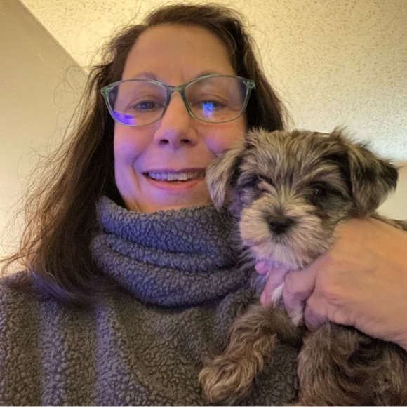 12+ YEARS ON POSHMARK! - Picture 2 of 10